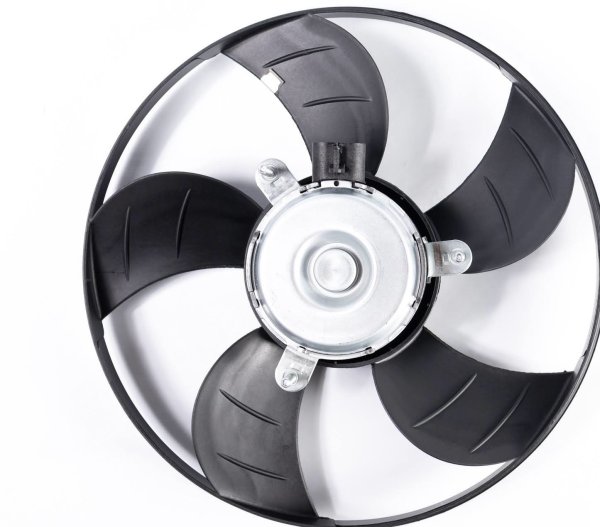 MOTOR VENTILADOR RADIADOR PALIO/SIENA/STRADA/WEEKEND - 12V
