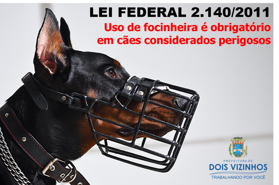 PRESEN�A DE C�ES DE GRANDE PORTE SEM FOCINHEIRA NO LAGO DOURADO PREOCUPA FREQUENTADORES
