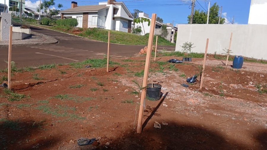 BAIRRO DA LUZ GANHA NOVO ESPA�O VERDE COM PLANTIO DE JACARAND�S