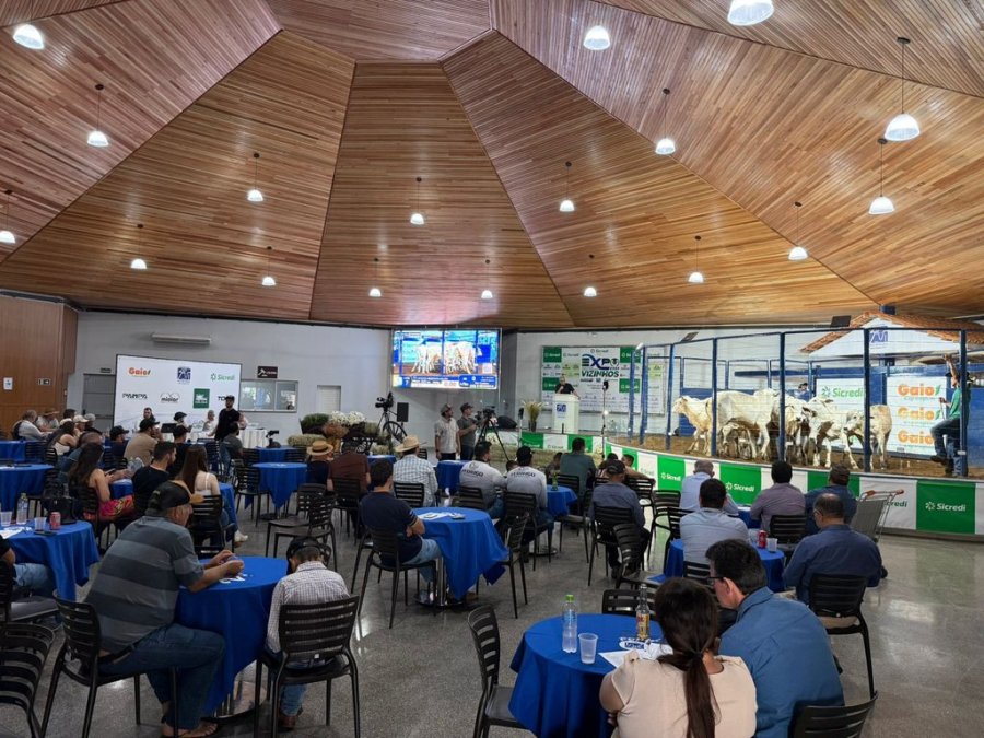 PRIMEIRO LEIL�O DA EXPOVIZINHOS MOVIMENTA MAIS DE R$ 3 MILH�ES E ABRE A FEIRA COM GRANDE ESTILO