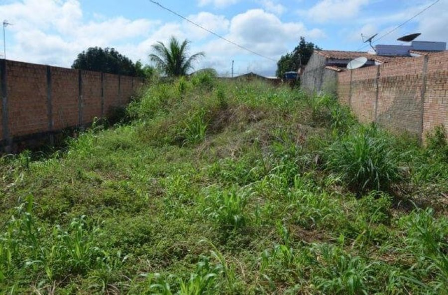 PREFEITURA COME�A A MULTAR TERRENOS SUJOS EM DOIS VIZINHOS