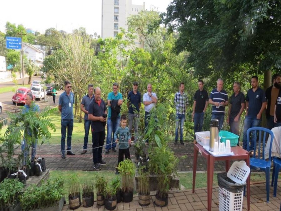 Dia da �rvore � Comemorado Com Entrega de Mudas Nativas.