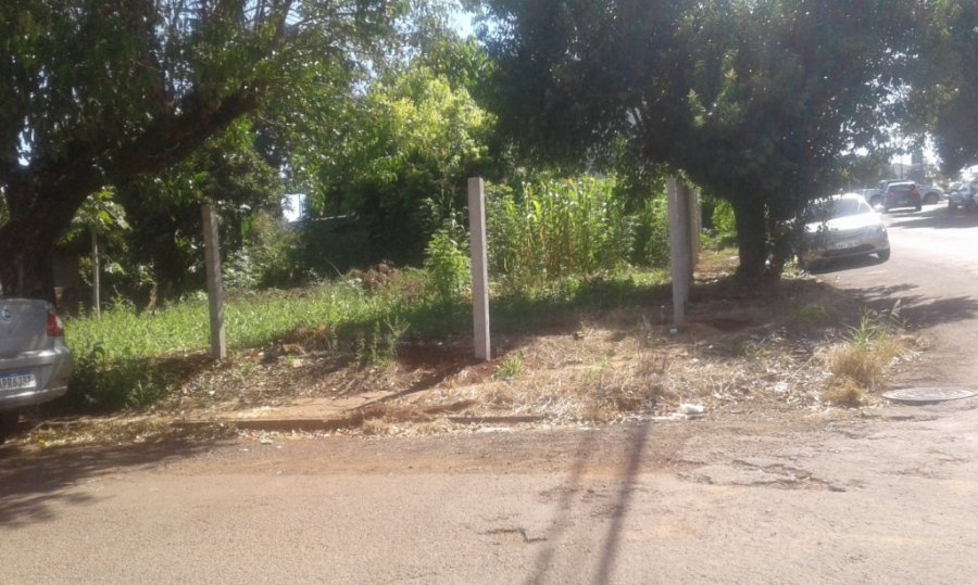 Prefeitura Notifica Propriet�rios de Terrenos para Limpeza e Constru��o de Cal�adas