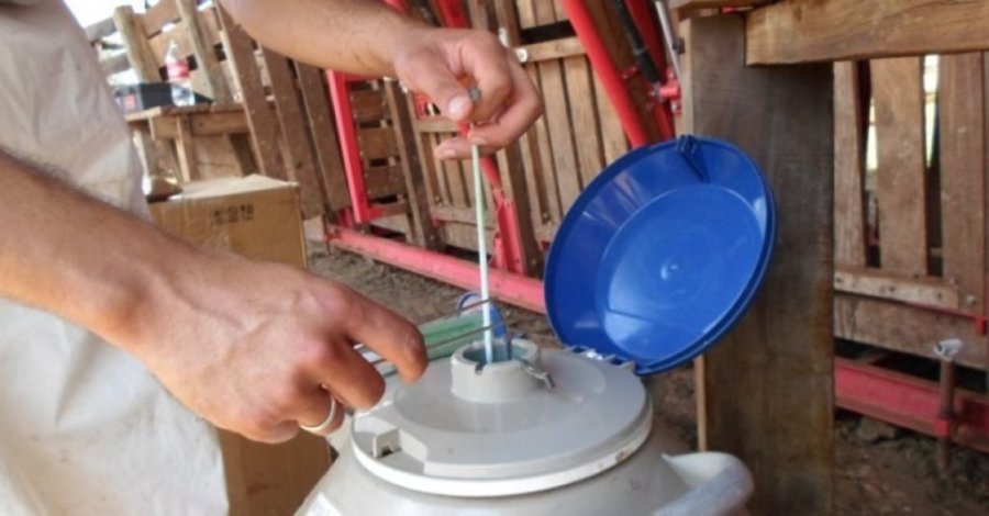 Programa de Insemina��o Artificial