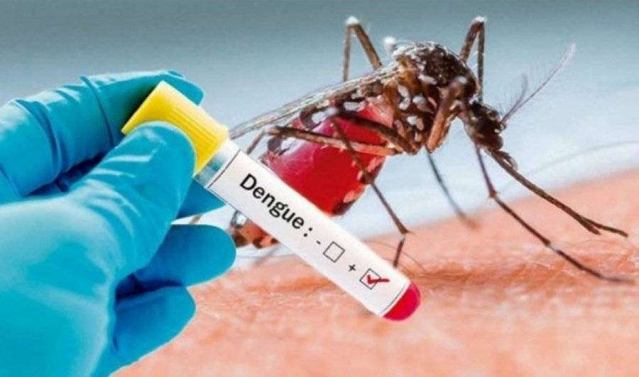 Aumentam os Casos de Dengue no Munic�pio