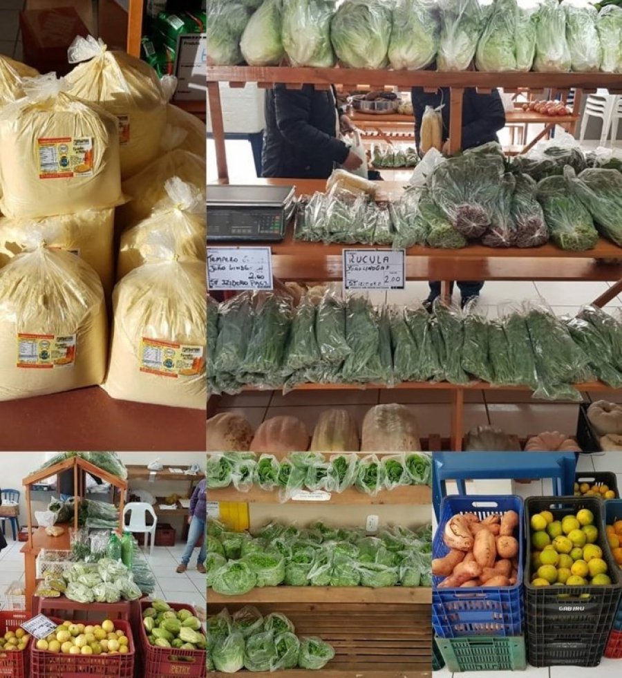 Hoje � Dia de Feira do Campo � Mesa!