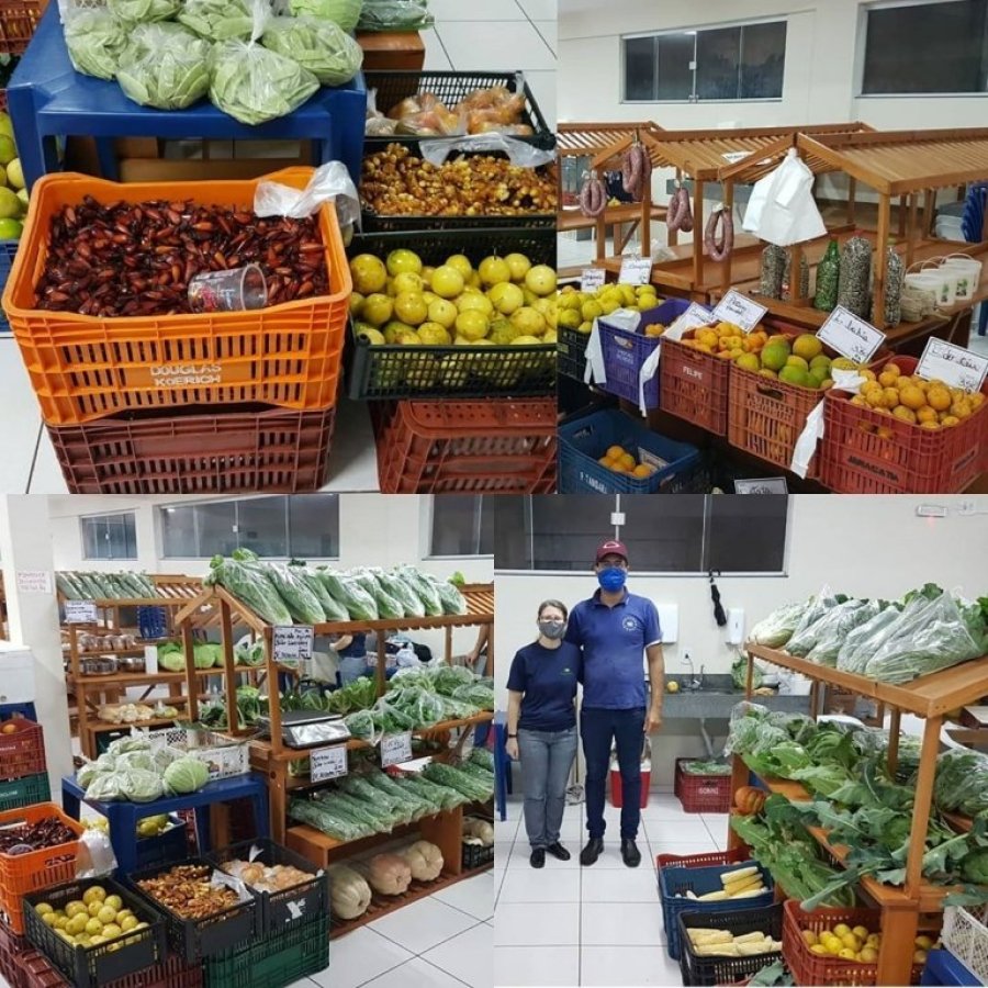 Hoje � Dia de Feira do Campo � Mesa!