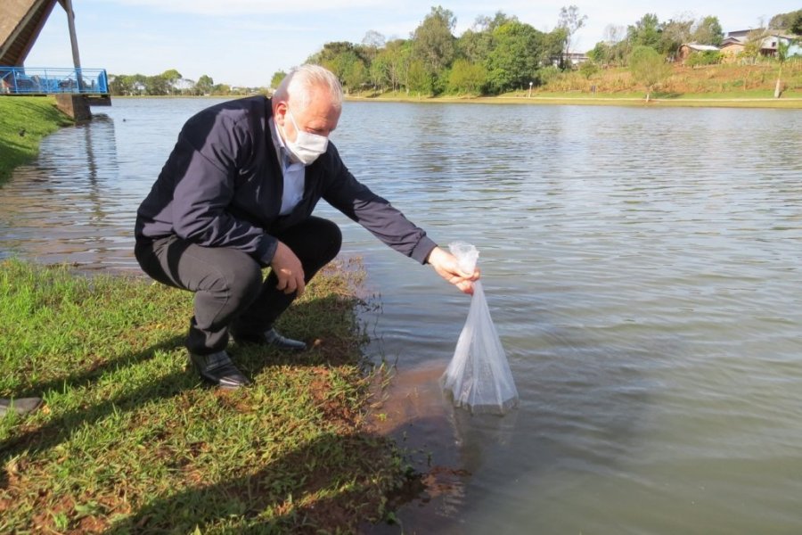 Lagos de Dois Vizinhos Recebem Alevinos de V�rias Esp�cies