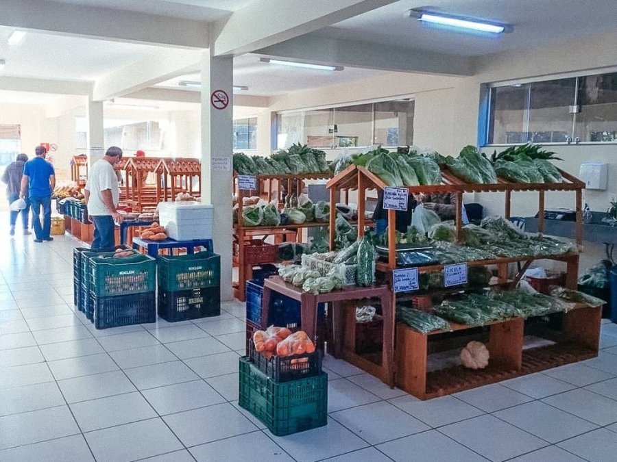 Hoje � Dia de Feira do Campo � Mesa!