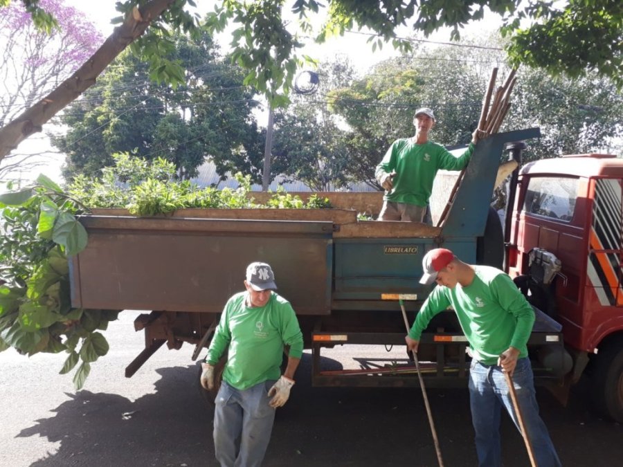 Calend�rio de Podas de �rvores 2021 � Divulgado Pela Prefeitura Municipal