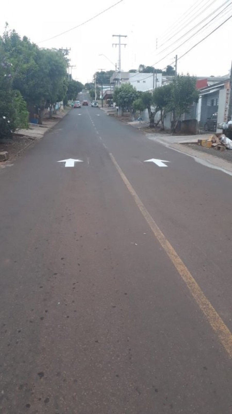 Rua Zeferino Vitto no Bairro Margarida Galvan Ser� M�o-�nica