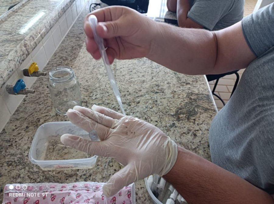 Semana de Mobiliza��o para Combater o Mosquito da Dengue