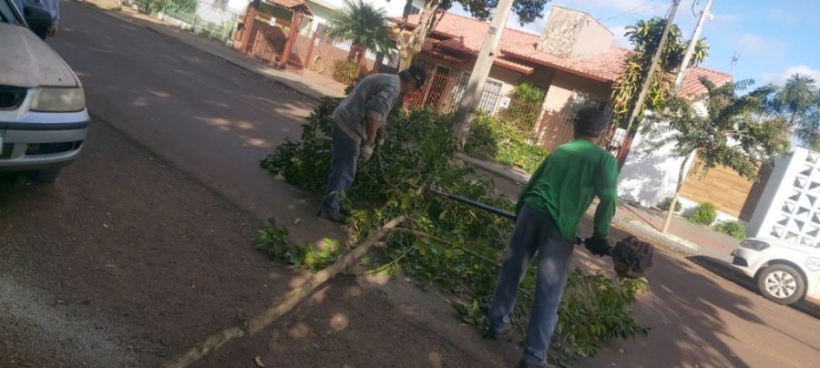 Secretaria de Agricultura e Meio Ambiente Realiza Podas de �rvores