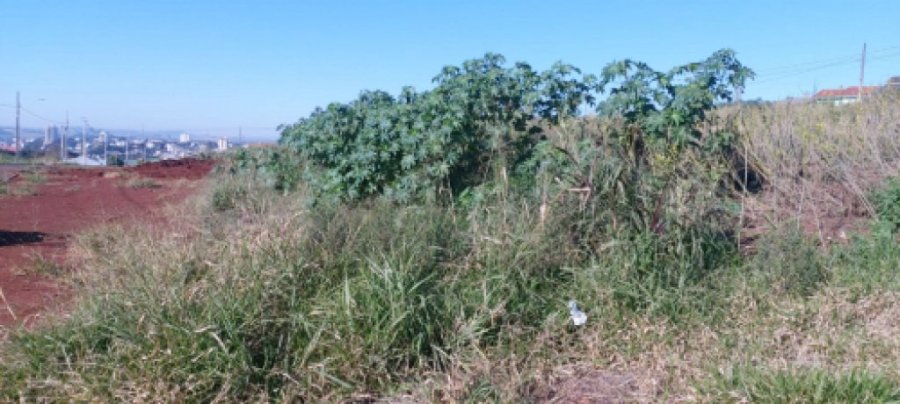 Concorr�ncia P�blica da Venda dos Lotes do Munic�pio Vai Ser Feita Em Novo Local.