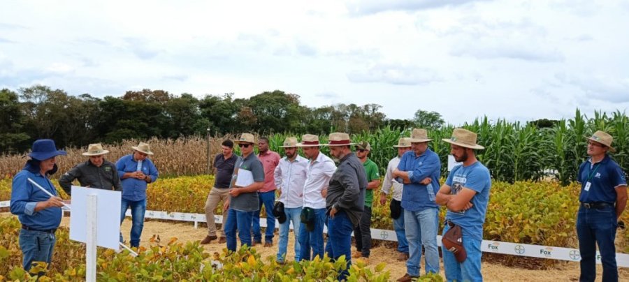 Secret�rio de Agricultura Participa de Treinamento para Auxiliar Produtores de Dois Vizinhos.