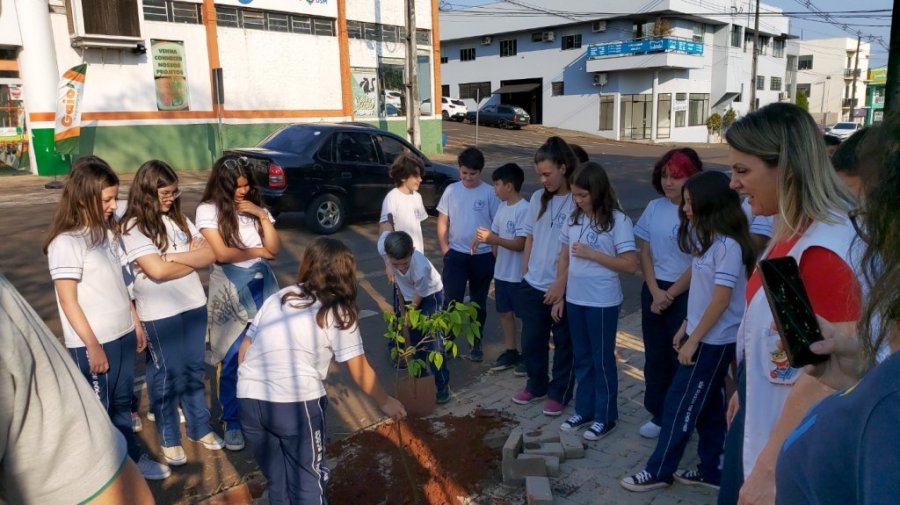 60 Novas Mudas de Arvores Ser�o Plantadas nas Cal�adas da Cidade