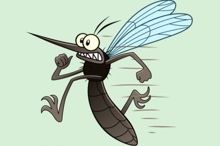 Esfor�os Contra a Dengue Come�am a Mostrar Resultados