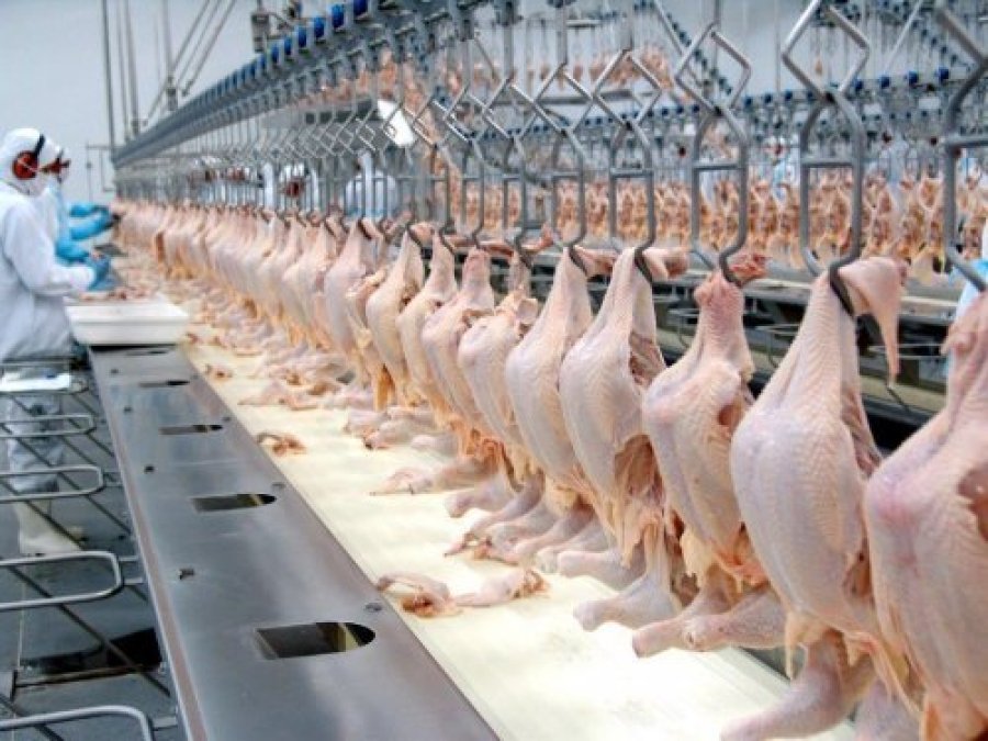Brf Exportar� Frango Halal para a Mal�sia