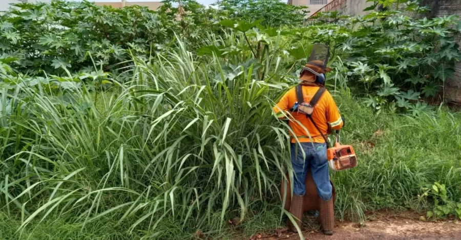 MATO, LIXO E DENGUE: PREFEITURA DECLARA GUERRA A TERRENOS ABANDONADOS