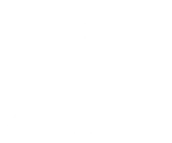 Zsites