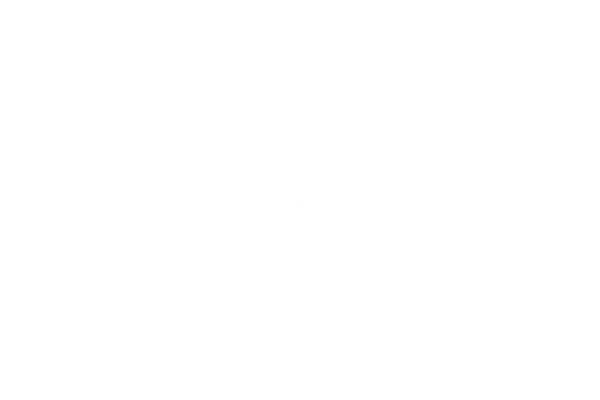 Nextel