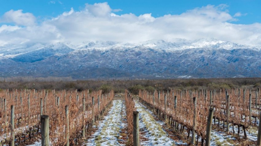 Bodegas Salentein: o lugar onde o vinho transforma paisagens e hist�rias