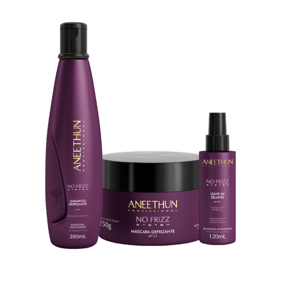 Kit No Frizz System