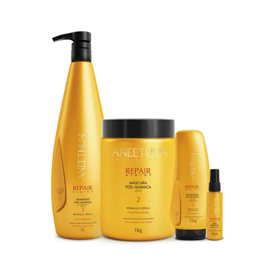 Kit Repair System (1L/Kg)