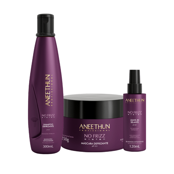 Kit No Frizz System