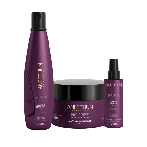 Kit No Frizz System
