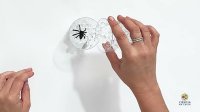Cad� a Aranha