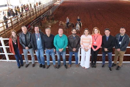 Continue lendo Sorri Bauru triplica atendimentos em equoterapia