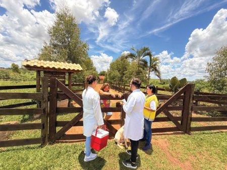 Saiba mais sobre Sa�de da Fam�lia