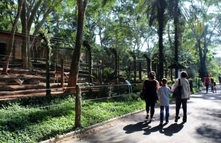Saiba mais sobre Dia do autismo: SORRI come�a abril com semana especial