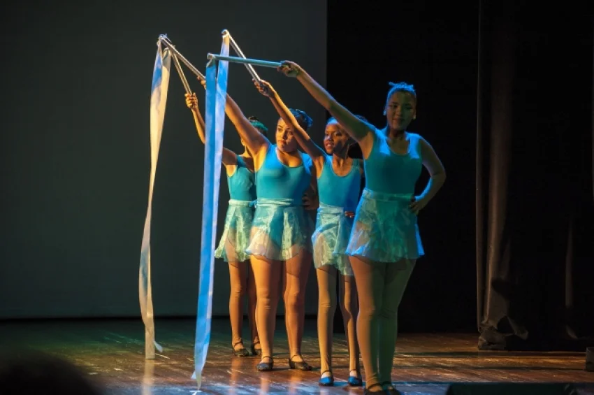 Usu�rios da SORRI-BAURU se apresentam na 24� Mostra de Arte Sem Barreiras