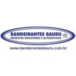 Veja mais de Bandeirantes