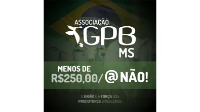 Associa��o GPB luta por melhores pre�os para os pecuaristas