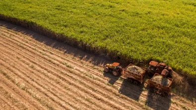 25 DE FEVEREIRO: DIA DO AGRONEG�CIO