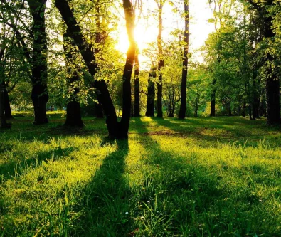 GPB apoia GTPS visando a efetiva implementa��o do C�digo Florestal