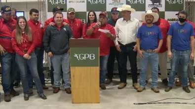 Leil�o Virtual 7 anos de GPB fecha com faturamento de R$ 9 milh�es