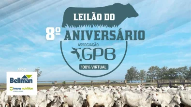 Leil�o do 8� Anivers�rio da Associa��o GPB ir� ofertar cerca de 2,5 mil animais