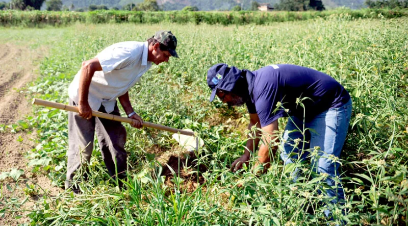Atlas do Espaço Rural retrata diversidade e desigualdade do campo brasileiro