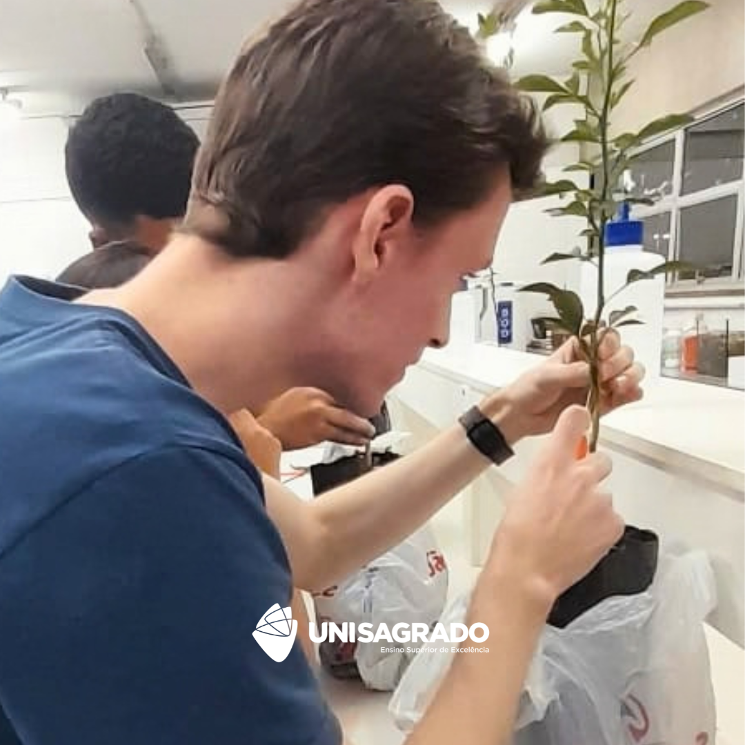 Aula pr�tica de Enxertia em Citros - Eng. Agron�mica | 08/10