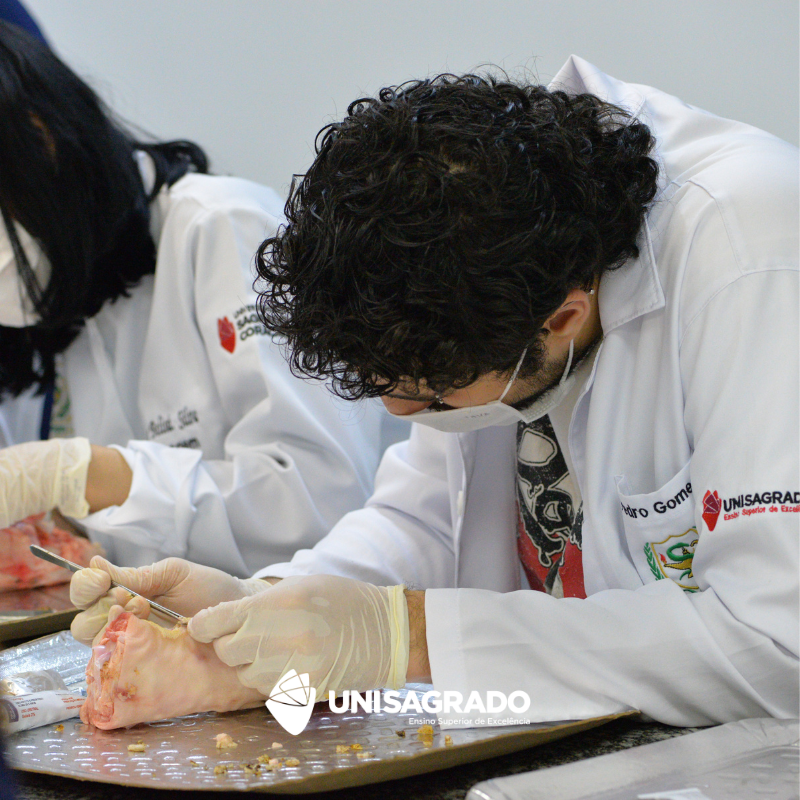 Aula pr�tica de desbridamento de feridas 28/04