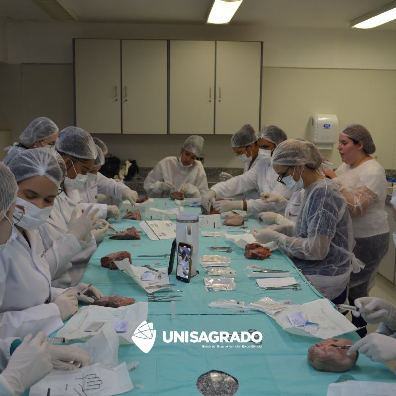 Aula pr�tica de sutura 05/12