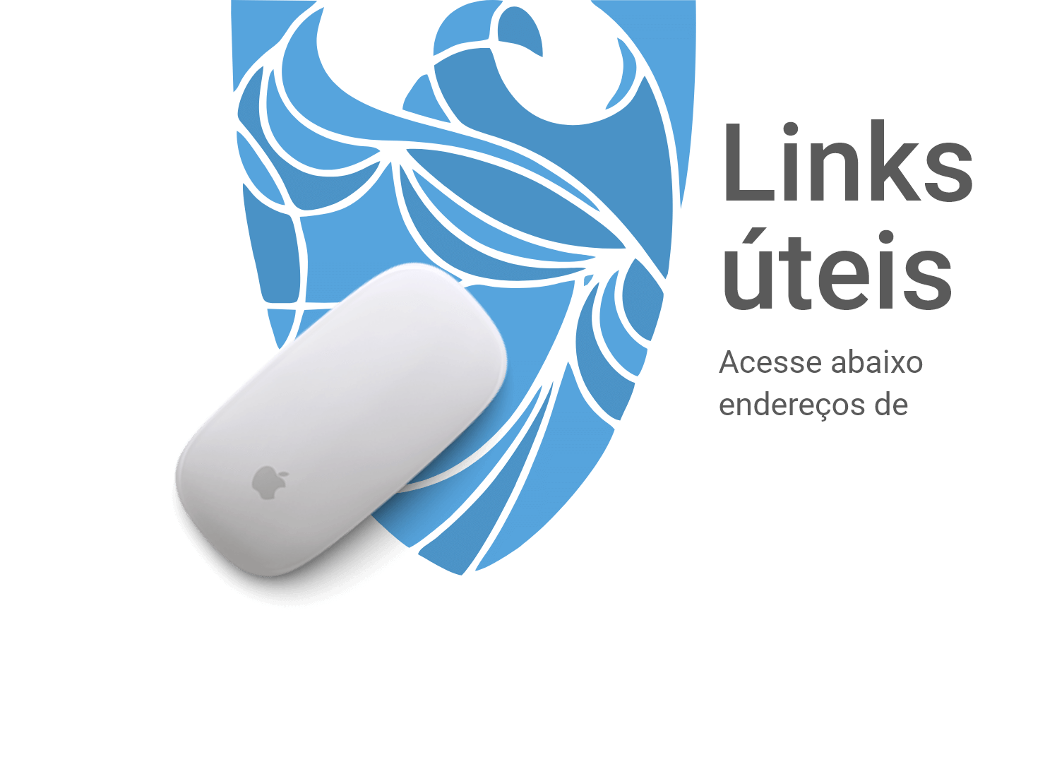 Links
