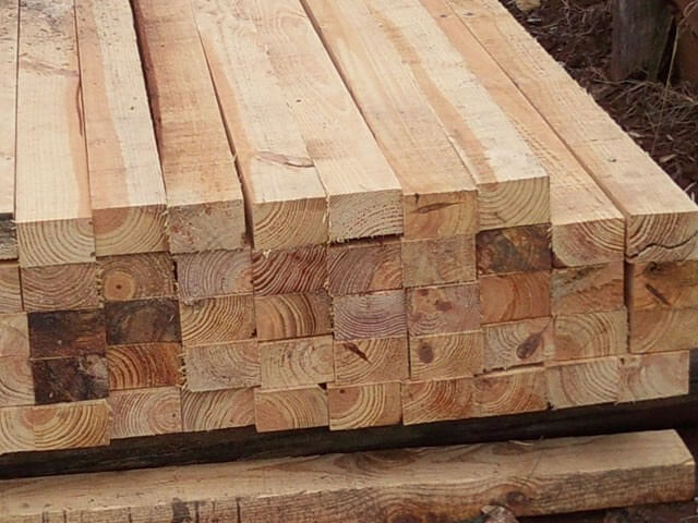 A madeira Pinus e sua história