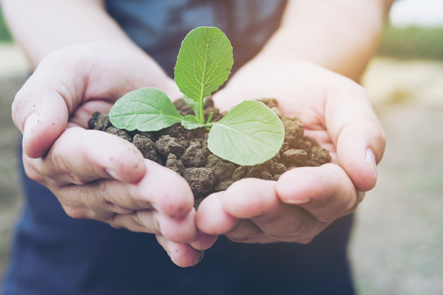 Sustentabilidade