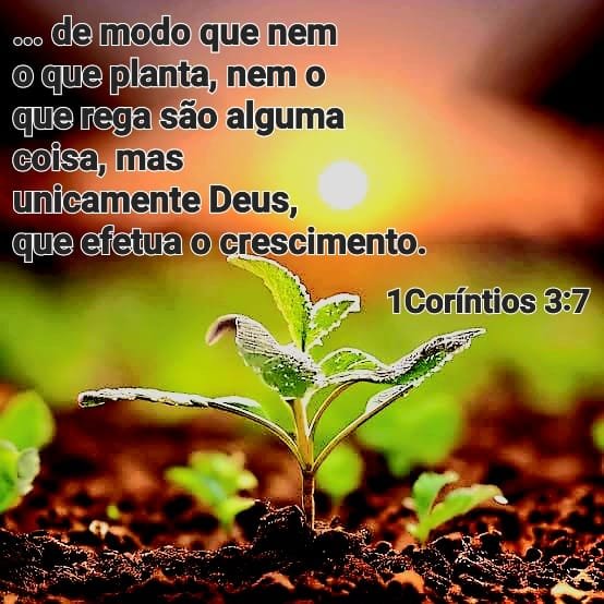 1 Corntios 3:7