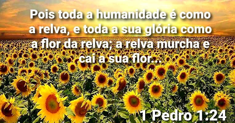 1 Pedro 1:24